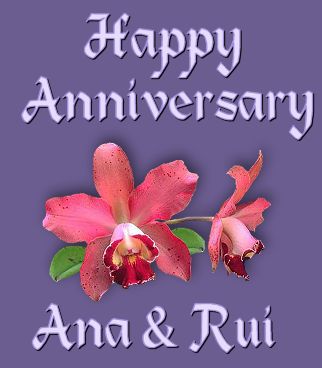 Happy Anniversary, Ana & Rui!